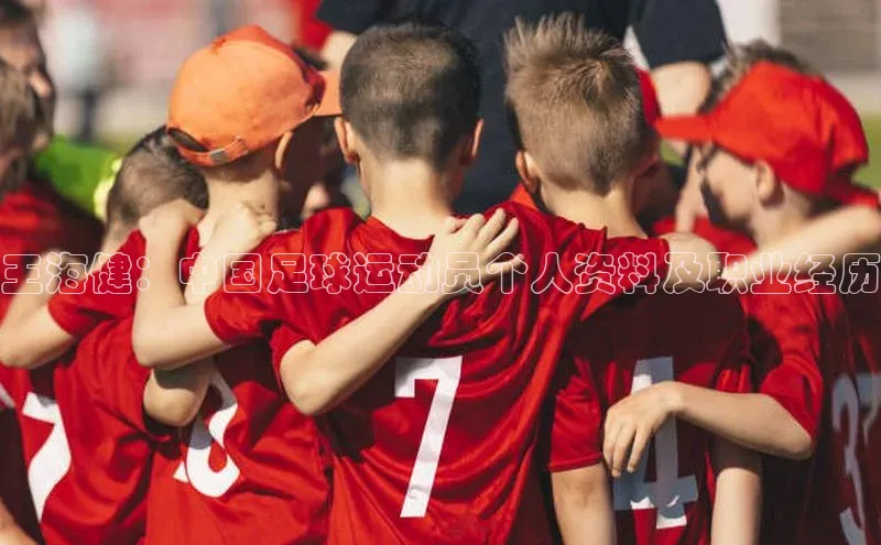 欧亿体育下载官方网站遥望科技王海健：中国足球运动员个人资料及职业经历