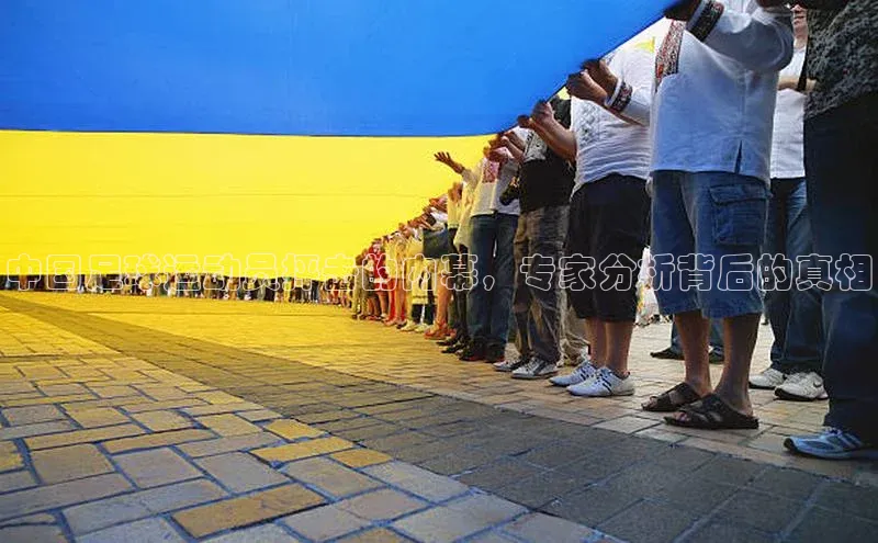 欧亿app官网下载百度大脑中国足球运动员抨击的内幕，专家分析背后的真相