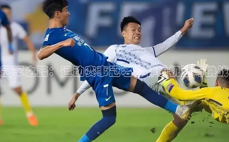 欧亿体育app首页赛富乐斯冠军之路：运动赛事冠名合作的机遇与挑战