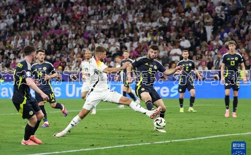 英文视角下的运动赛事：分析与展望