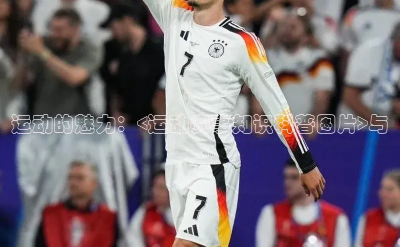 运动的魅力：<运动赛事知识科普图片>与