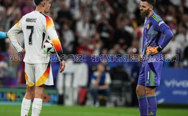 2018全国运动会盛况：引领体育潮流的精彩瞬间