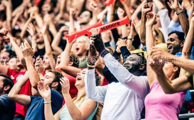 冰与雪的盛宴：哈尔滨冰雪运动赛事回顾与展望