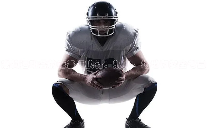 宠物运动会的筹备与执行：规则、场地和安全考量