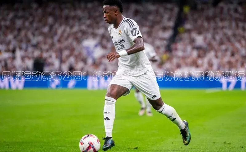 凤翔运动赛事公园：推动城市体育与休闲发展的新地标