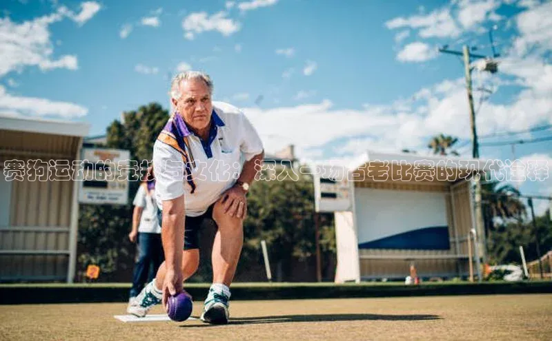 赛狗运动的竞技与文化：深入一场古老比赛的现代诠释