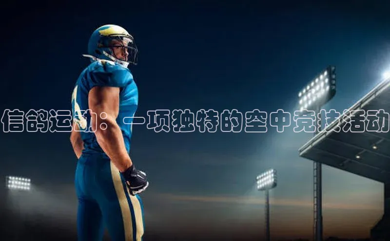 信鸽运动：一项独特的空中竞技活动