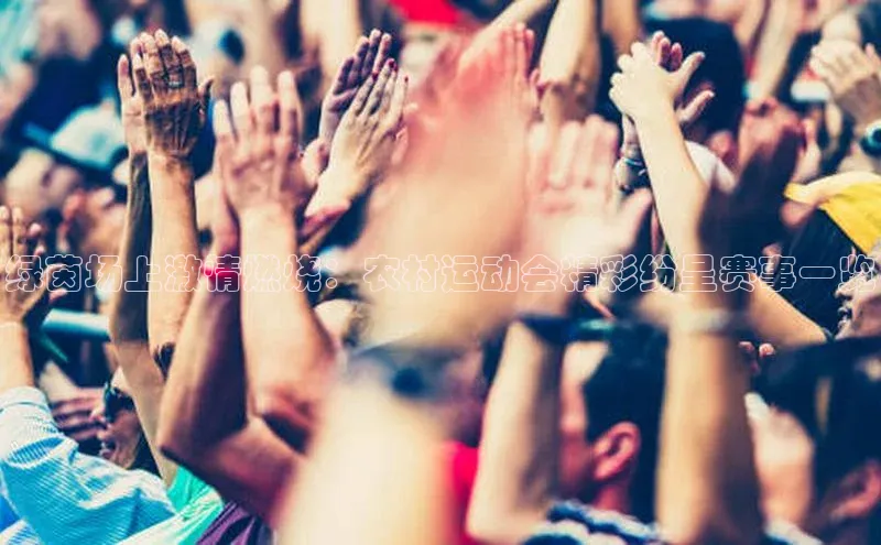 绿茵场上激情燃烧：农村运动会精彩纷呈赛事一览