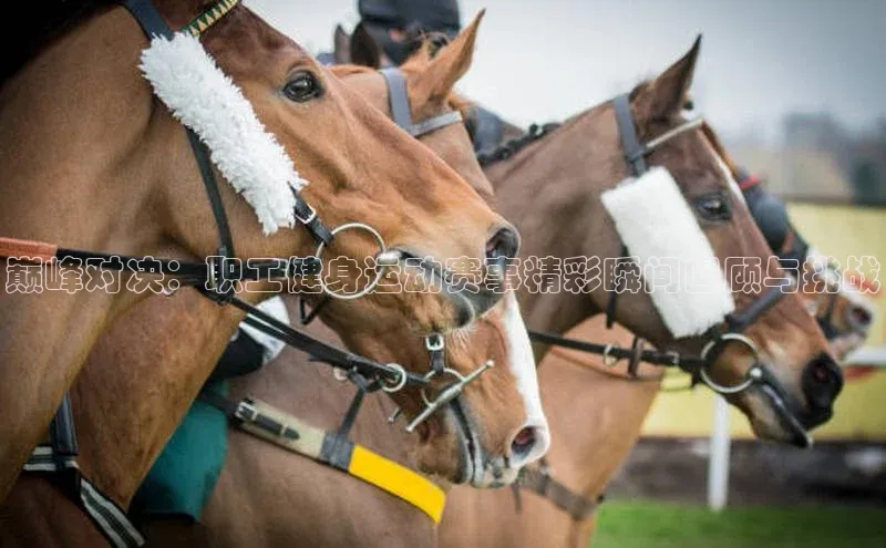 巅峰对决：职工健身运动赛事精彩瞬间回顾与挑战