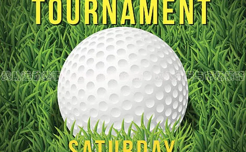 赞助运动赛事的经济模型与分析：收入分配与市场策略