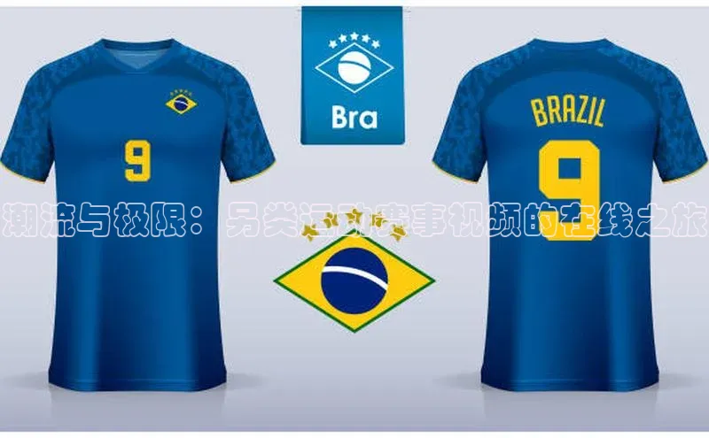 潮流与极限：另类运动赛事视频的在线之旅