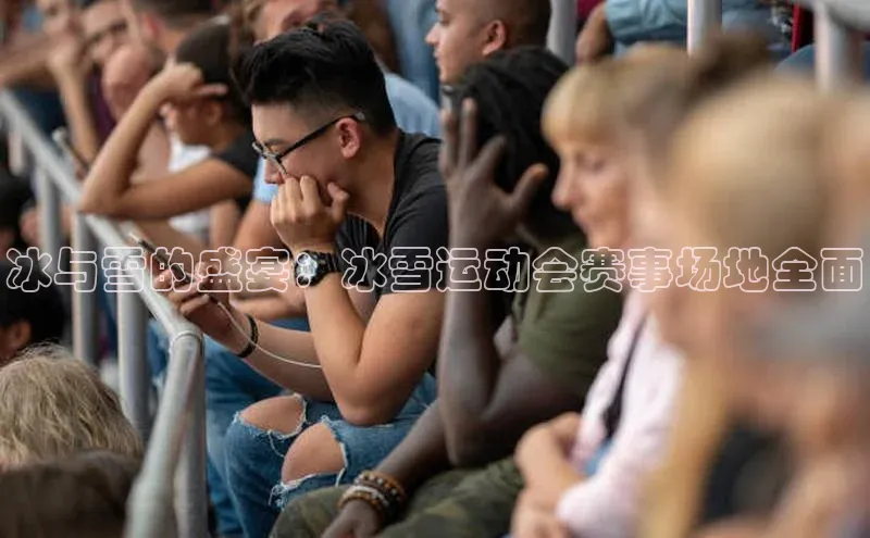 冰与雪的盛宴：冰雪运动会赛事场地全面