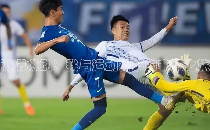 激情燃动：我与运动赛事的非凡之旅